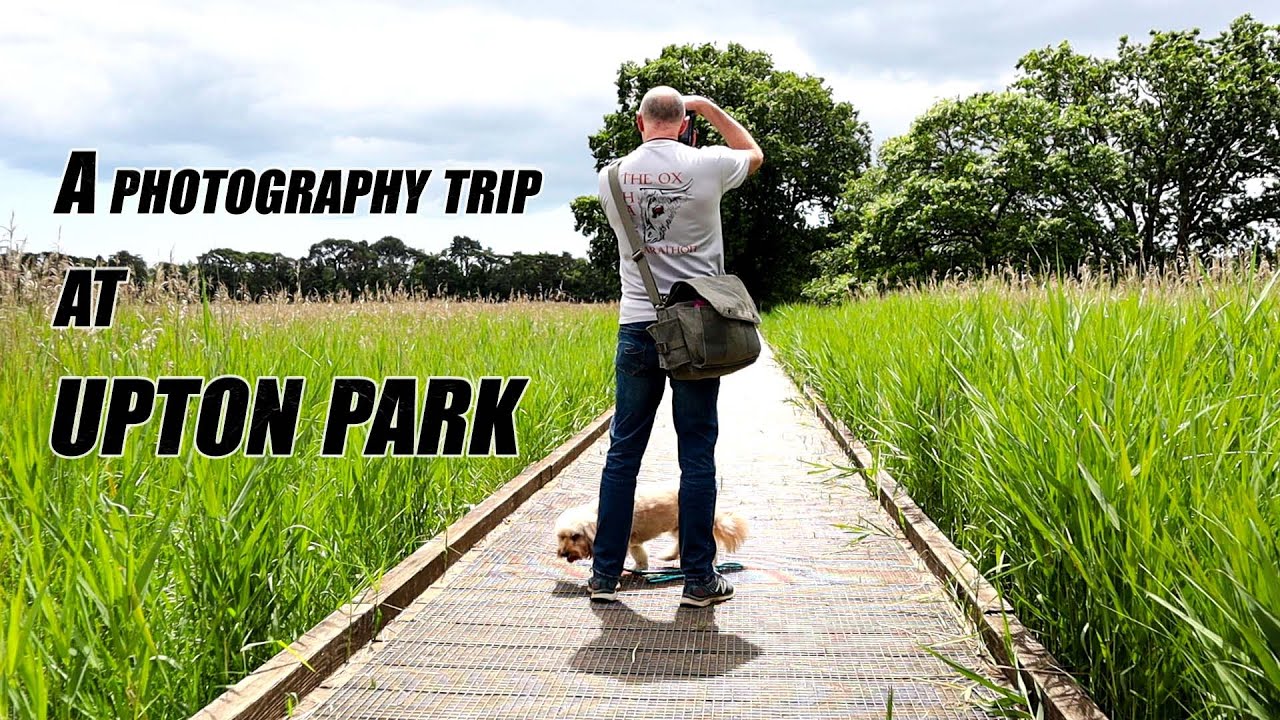 A photography walk round my local park