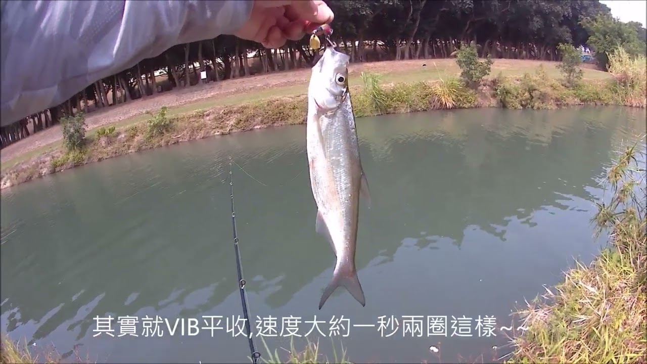北市福林橋+大漢溪釣曲腰~20230317~18