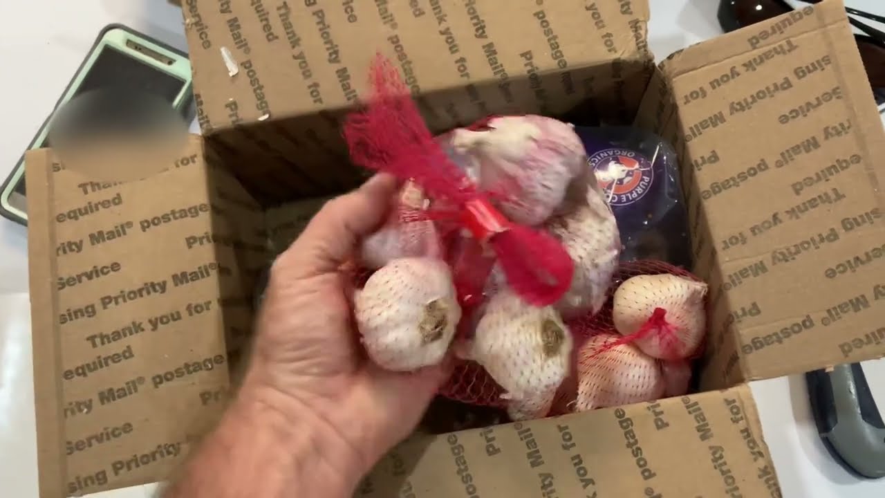Unboxing garlic order from Keene Garlic out of Madison, Wisconsin