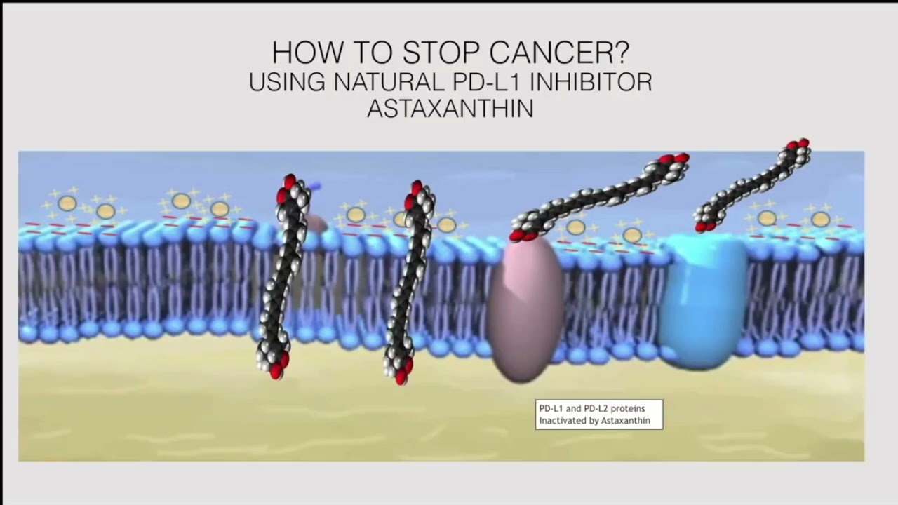 How Astaxanthin Affects Cancer and Electro chemical Effects on Cancer
