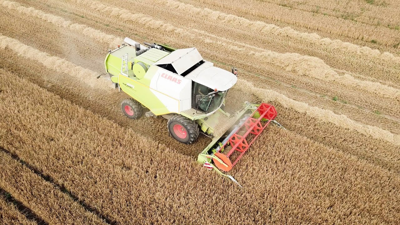Gerste dreschen Claas Tucano 320 [Mittelfranken] 2018