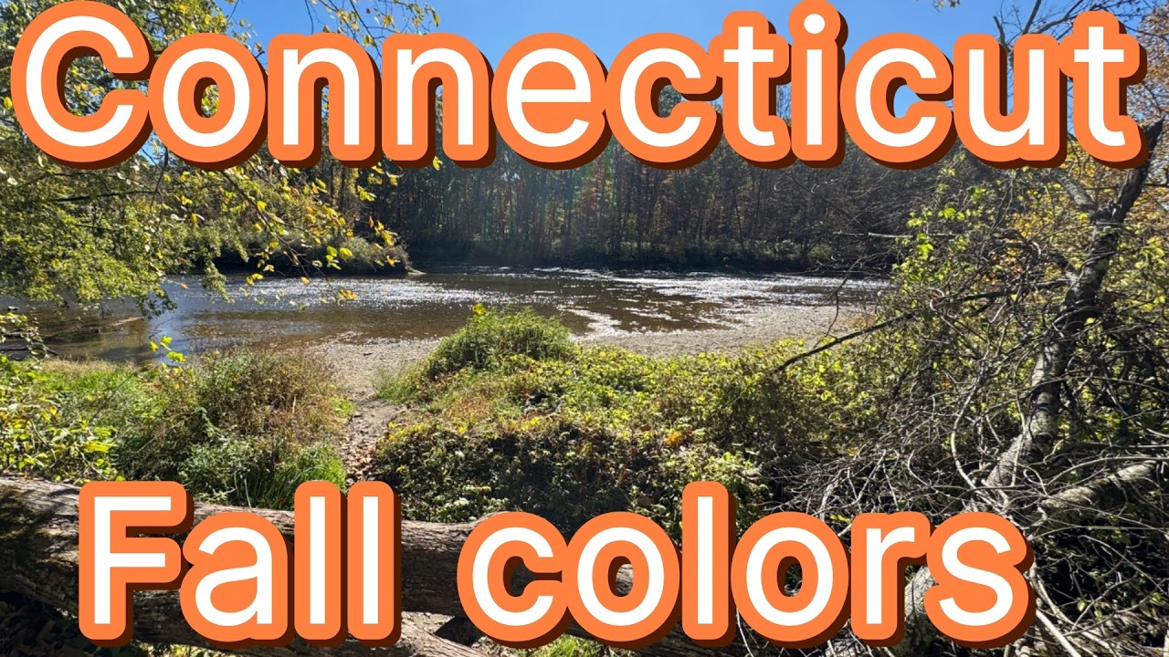 We Found The Best Fall Colors In Connecticut