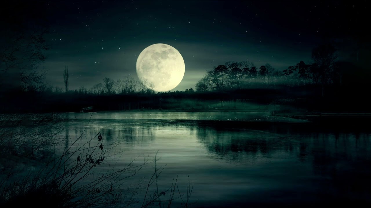 Cricket Conversations | The sound of the swamp at night, the sound of the mountains to study , relax