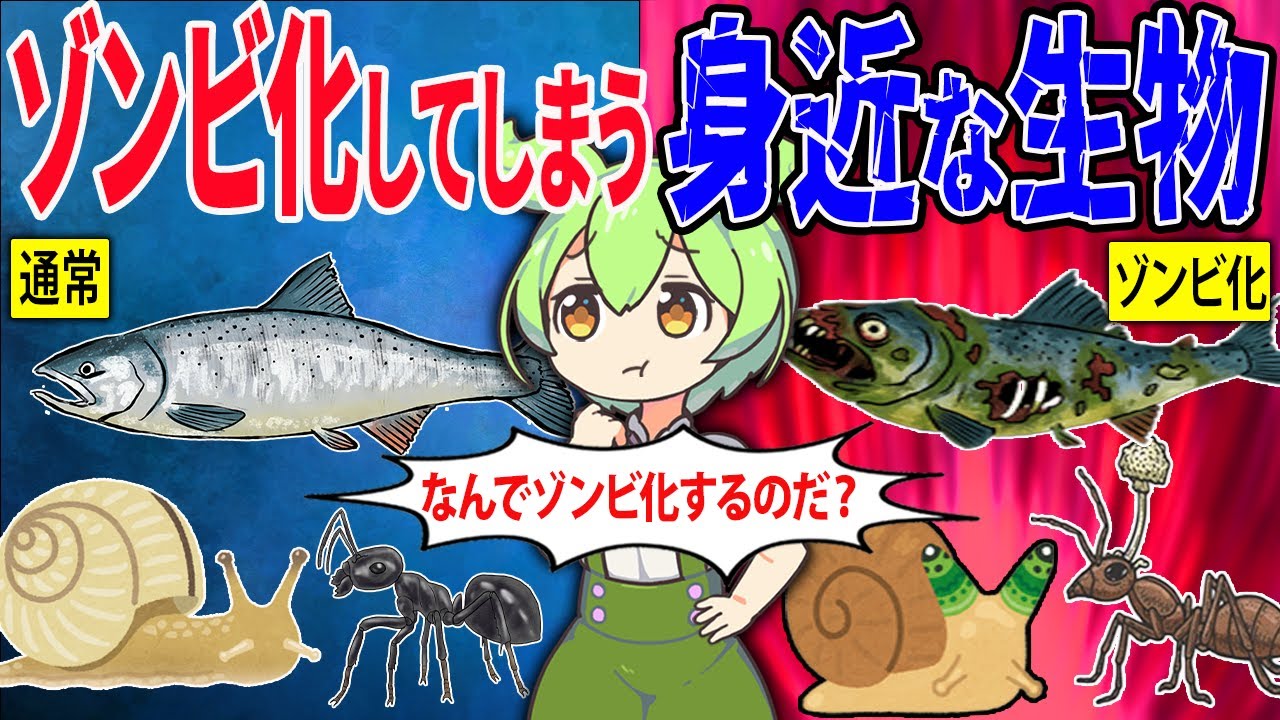 見つけたら逃げろ！身近に潜むゾンビ化してしまう生物とは？【ずんだもん＆ゆっくり解説】