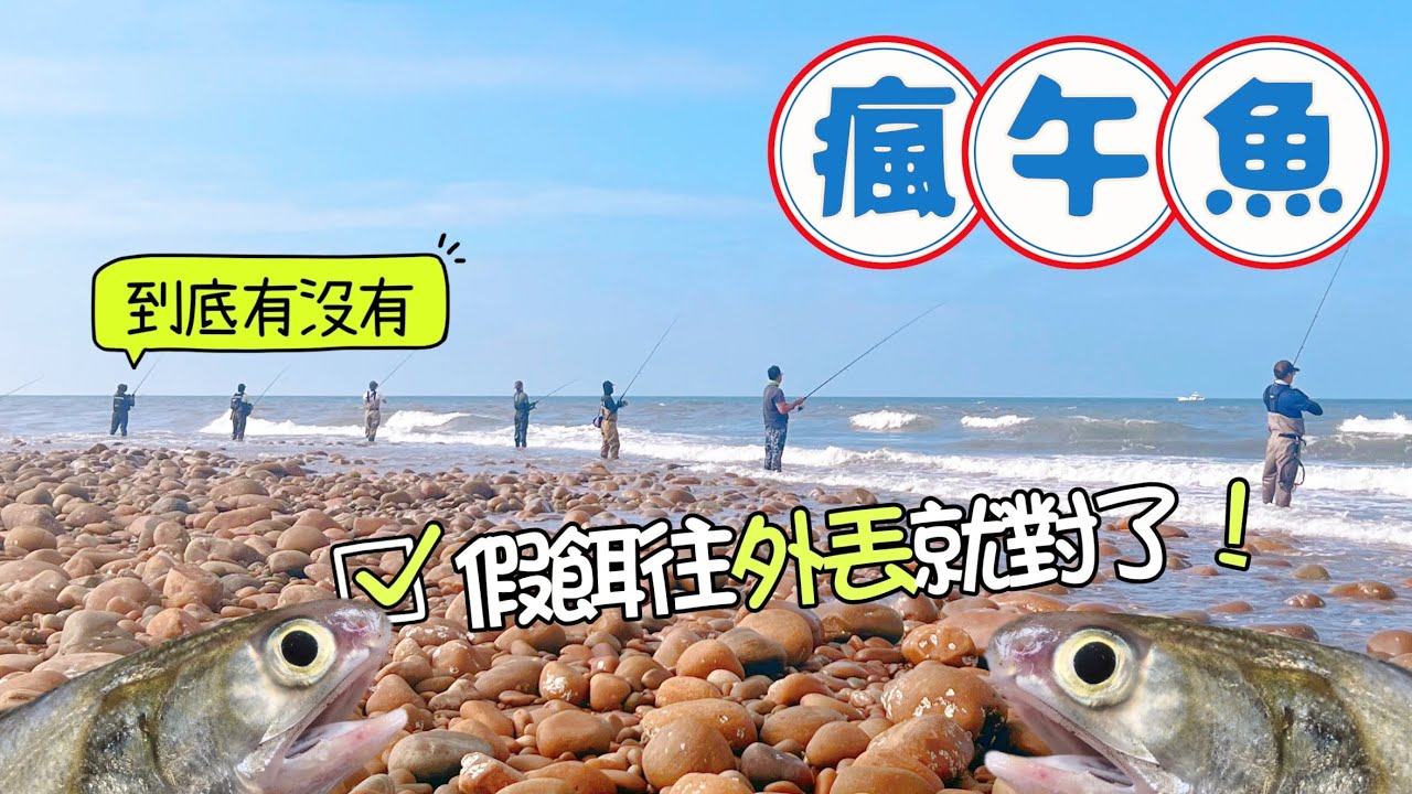 一起來海邊釣午仔魚吧🐟 #假餌 #路亞 #岸拋 #神奇小卷 #根魚 #四絲馬鮁 #竹午