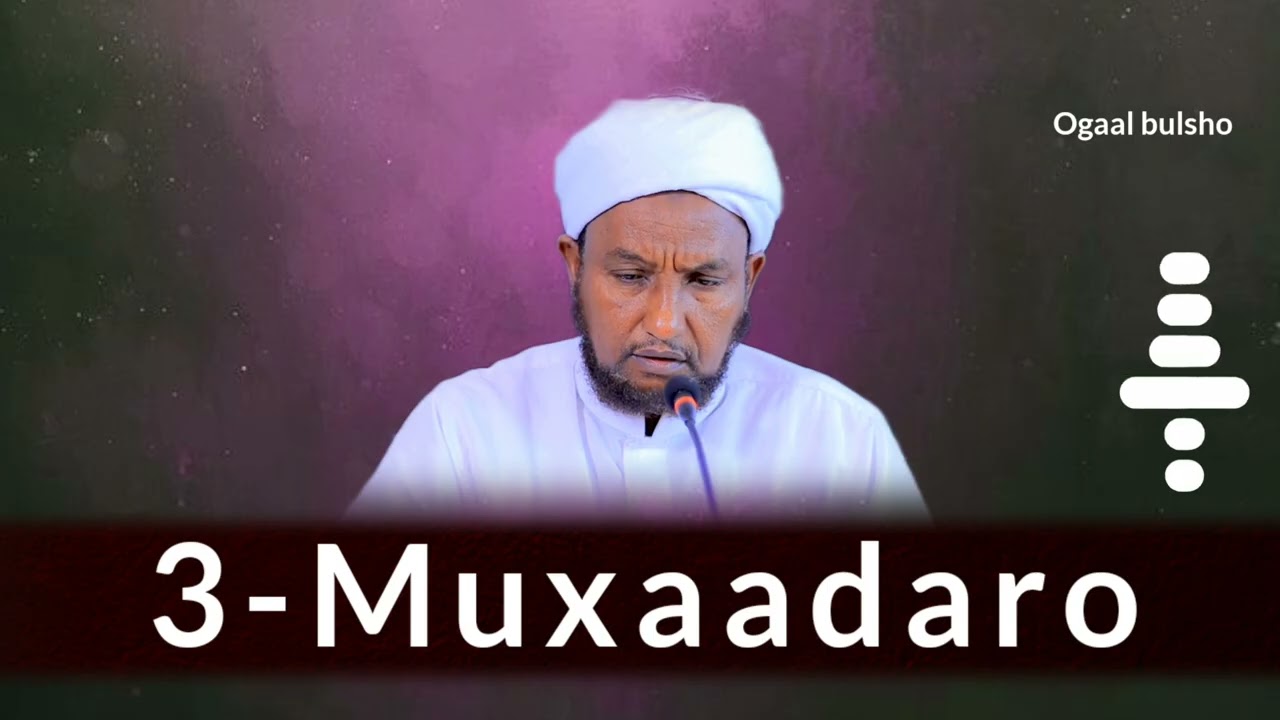 TOP 3 Muxaadaro & Qisooyin Cajiib Ah || Sh Xuseen Cali