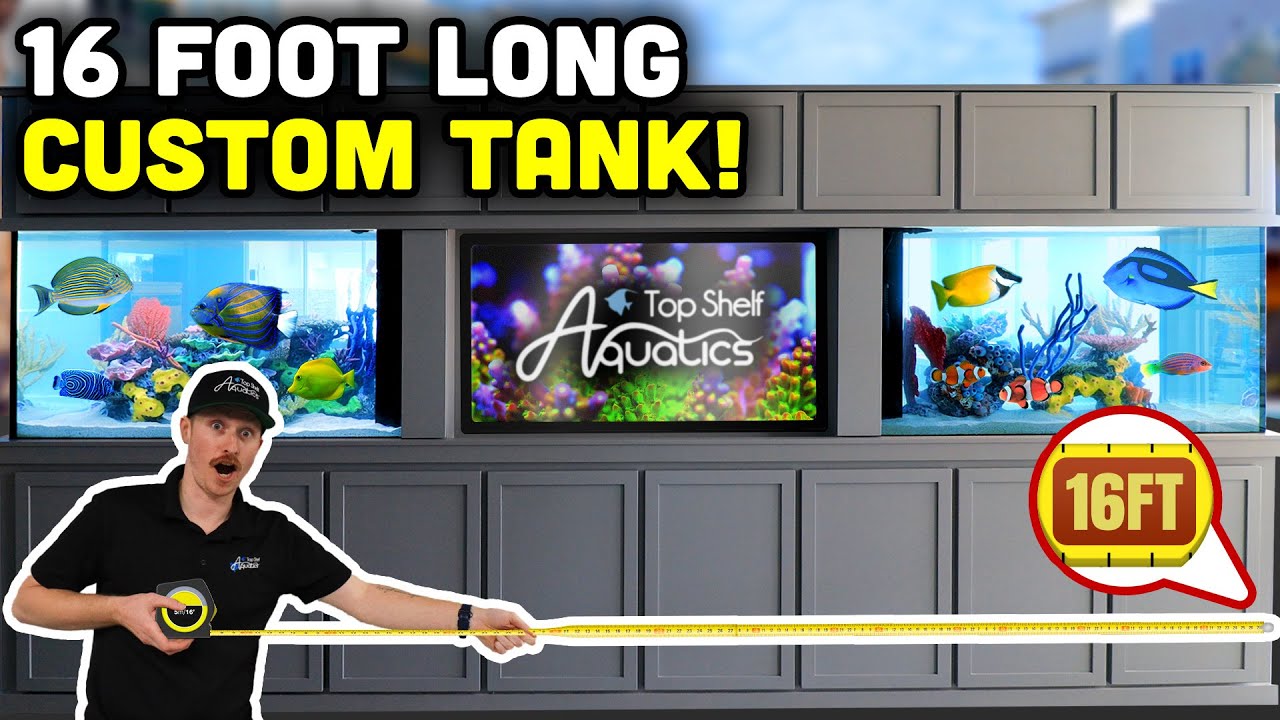 JAW DROPPING 16’ Aquarium Installation!