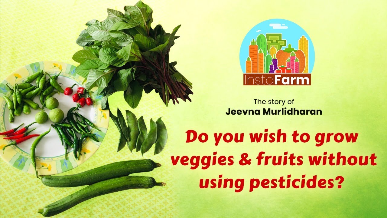 Jeevna Murlidharan | A Organic Vegetable Farmer | Special Story @ InstaFarm