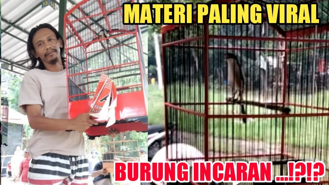 Namanya PENTOL⁉️ Cendet VIRAL Tembakan GANAS TENGKEK SUPER PANJANG Tembus GEREJA NGAKAK || MEWAH