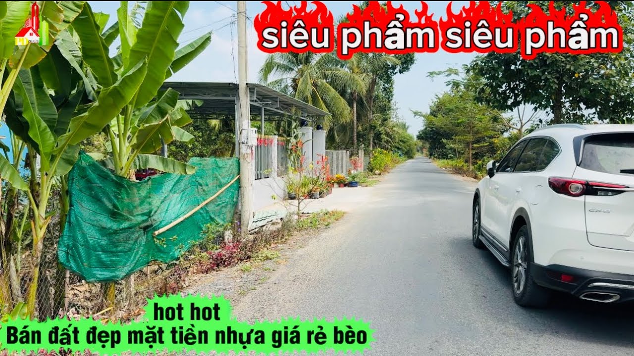 kh1973 Bán 1 mảnh đất quá trời đẹp luôn mặt tiền đường nhựa huyện lộ 12 giá rẻ bèo nhèo 🌹0944773589 