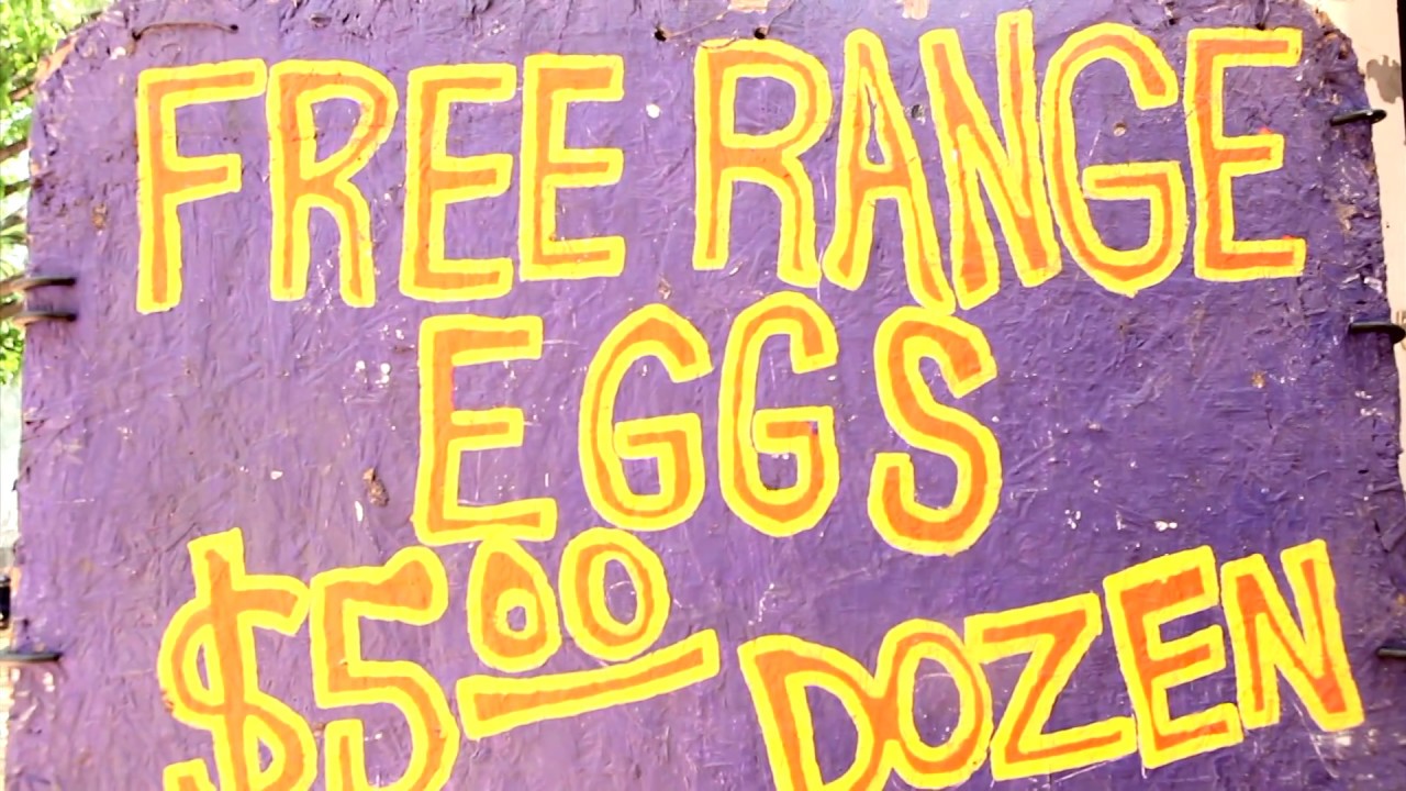 HOPE Farmers Market - Austin, Texas