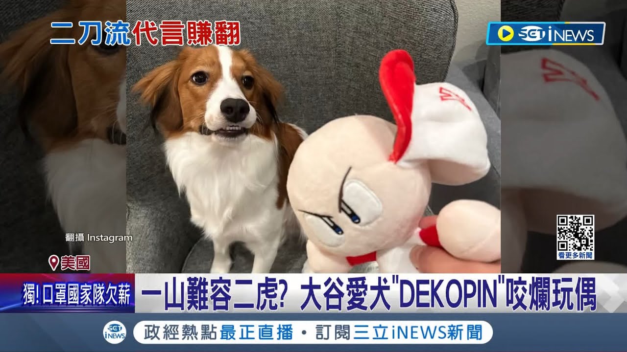 一山難容二虎? 大谷愛犬