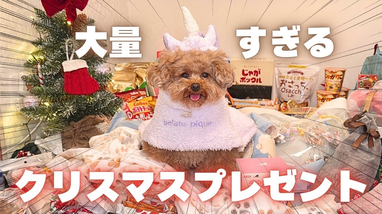 オフ会でもらったプレゼントが想像以上に大量だった...!