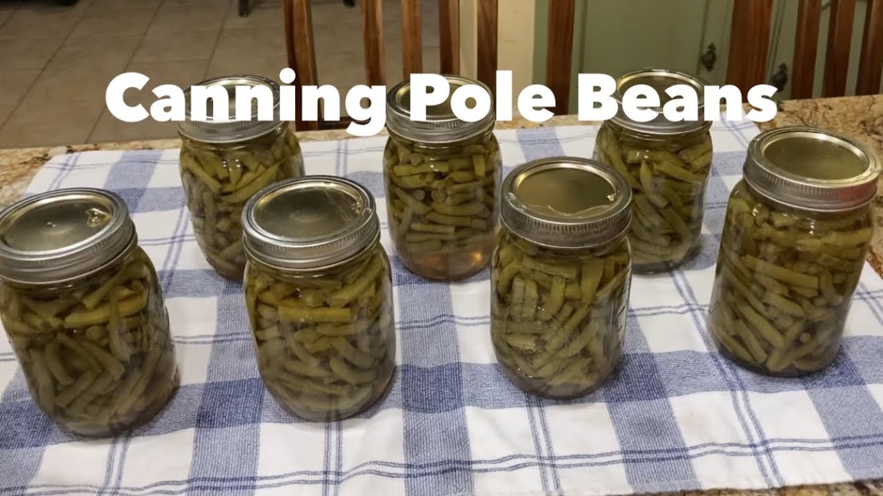 Canning pole beans from the garden - The Three Sisters part XV