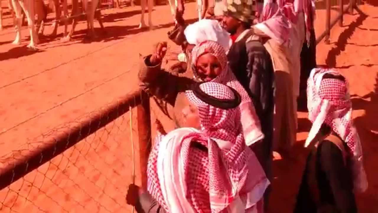 شيلة في الشيخ فهد بن فريج