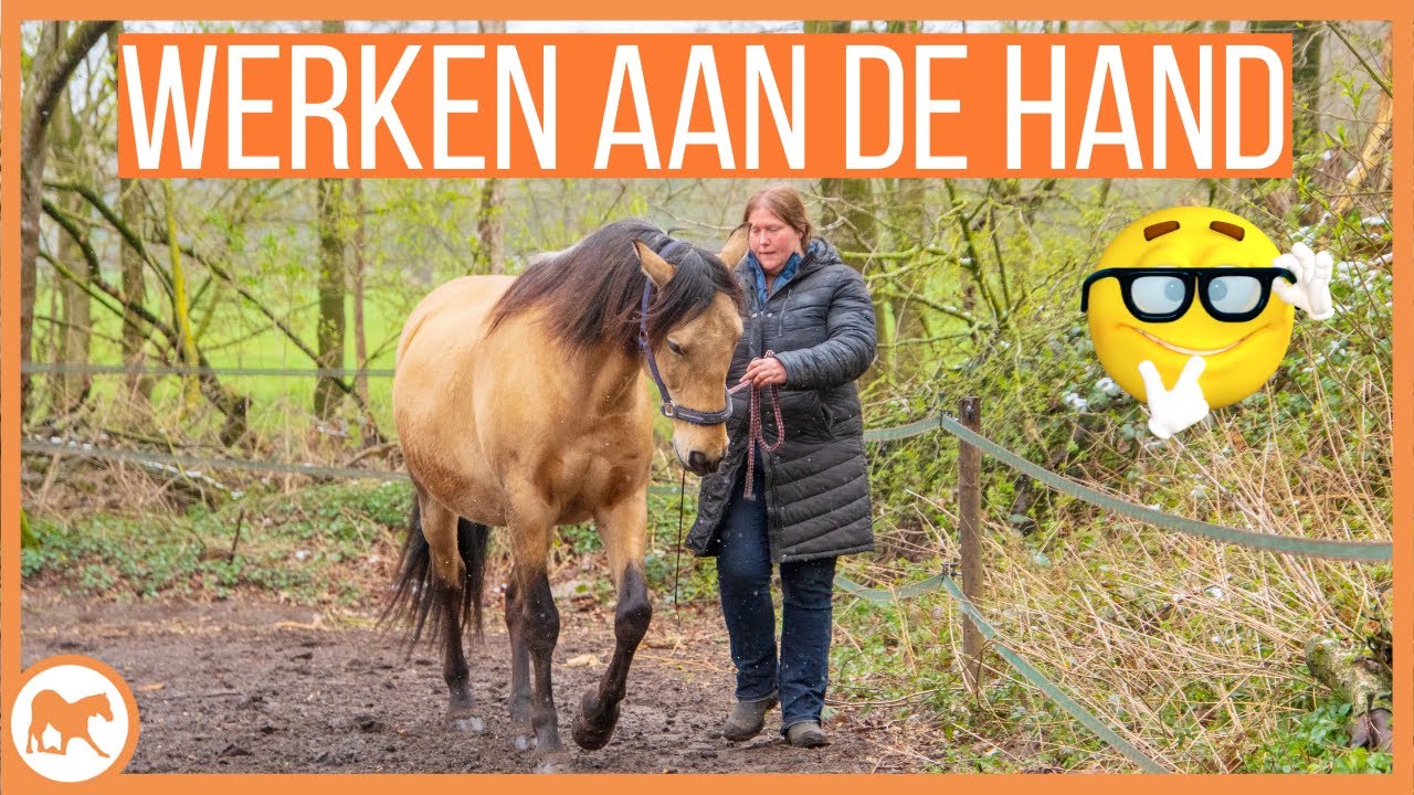 Grondwerk; onder treden