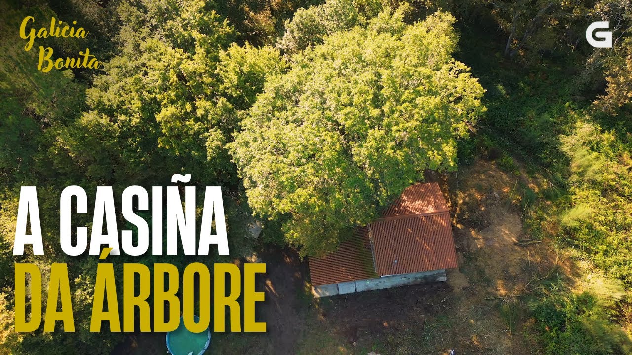 A CASIÑA da ÁRBORE | GALICIA BONITA