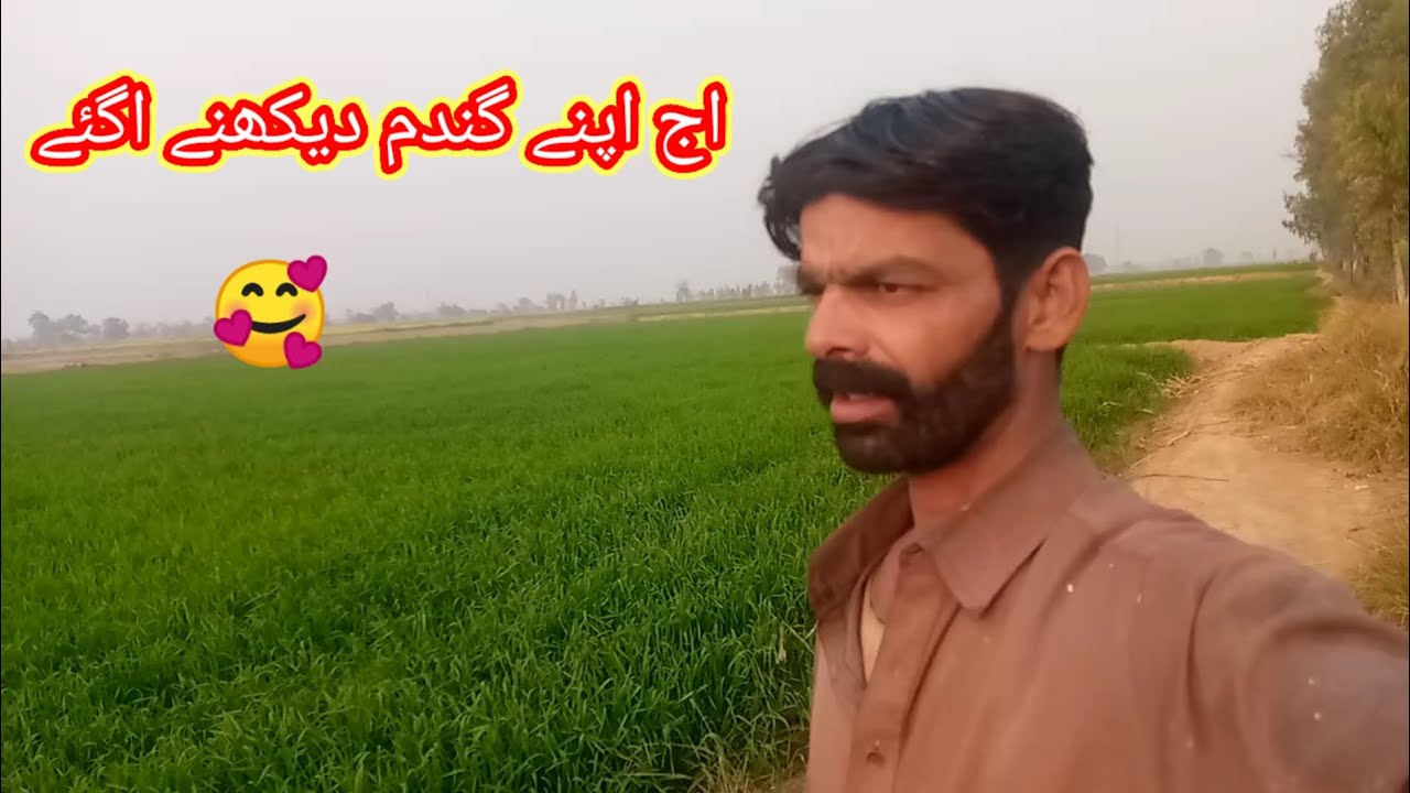 Aaj apni ganda mein dekhne a gaye 🌾