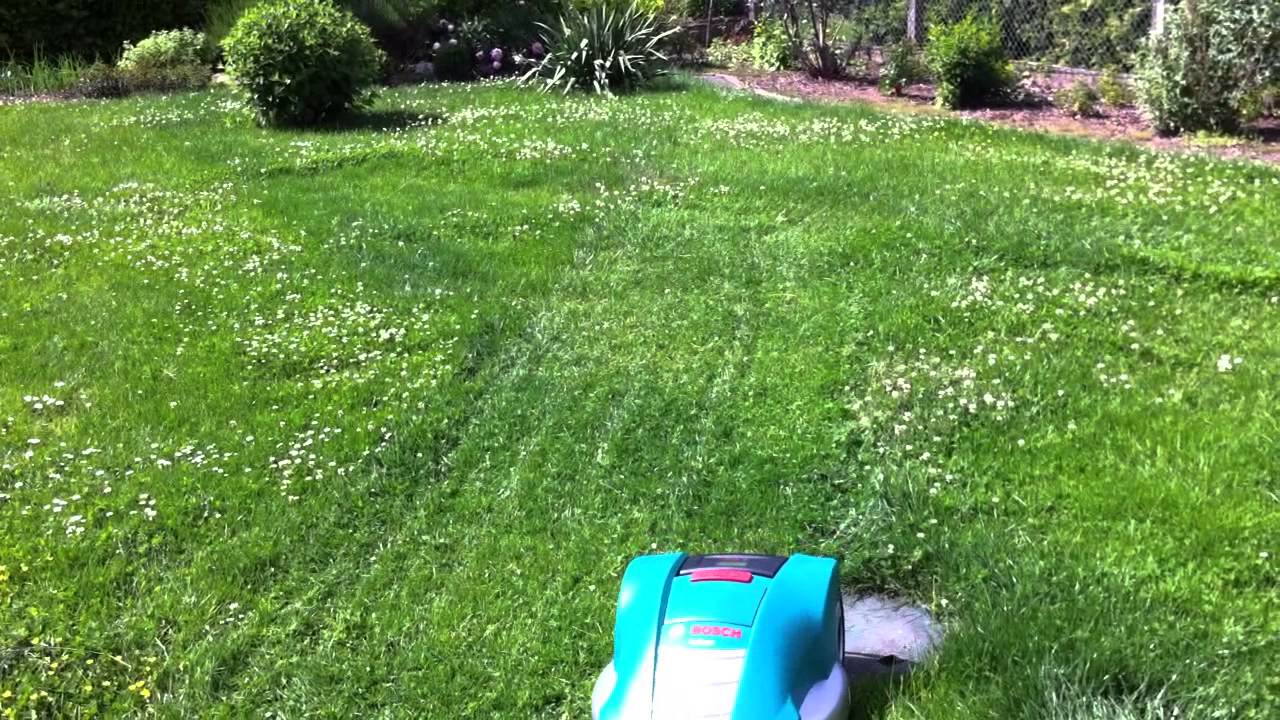 Rasenroboter Bosch Indego