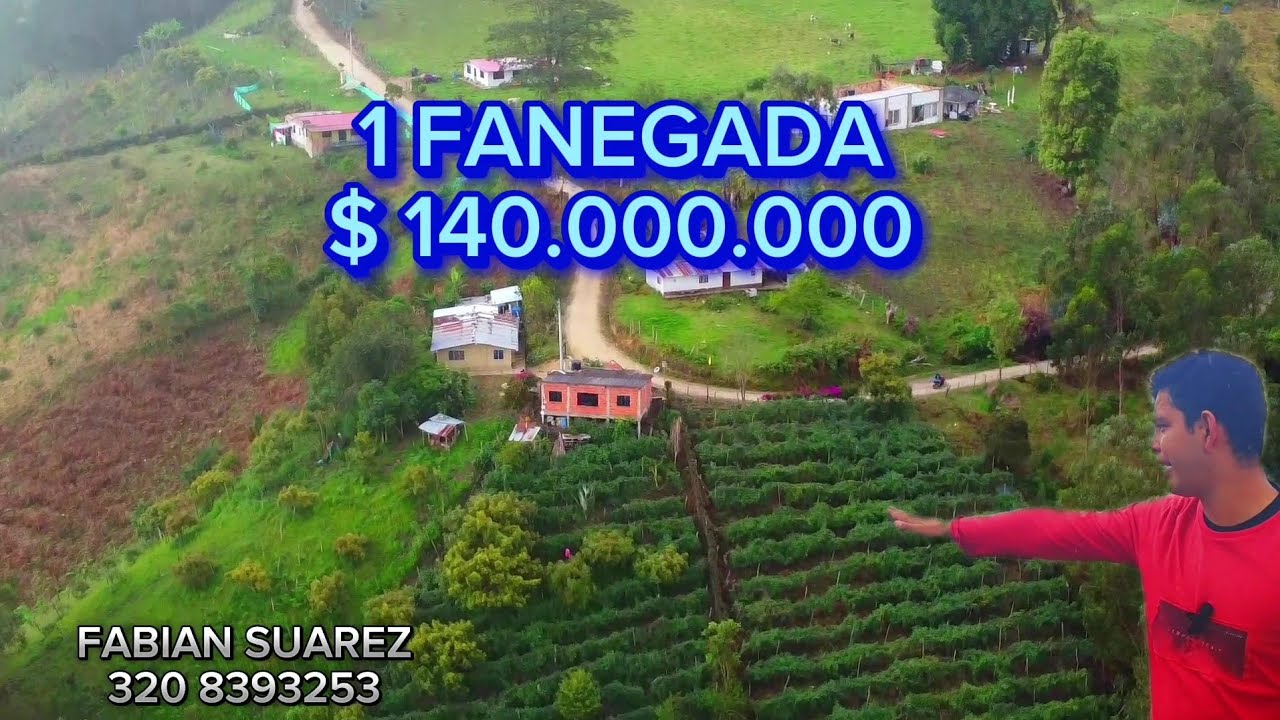 PARCELA AGROSESTINIBLE DE 1 FANEGADA