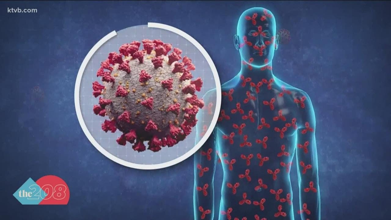 More COVID questions answered: Natural immunity vs. vaccine immunity