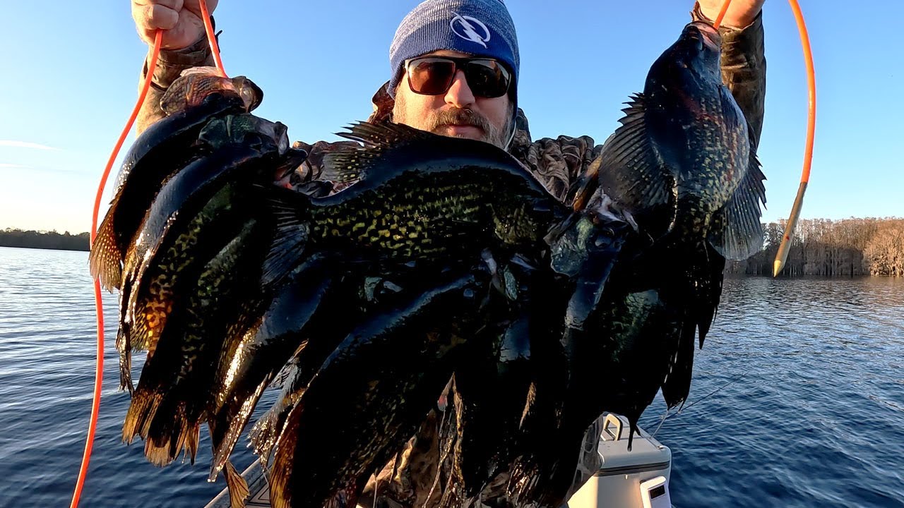 Cold Front Crappie LIMIT on Floral City Lake