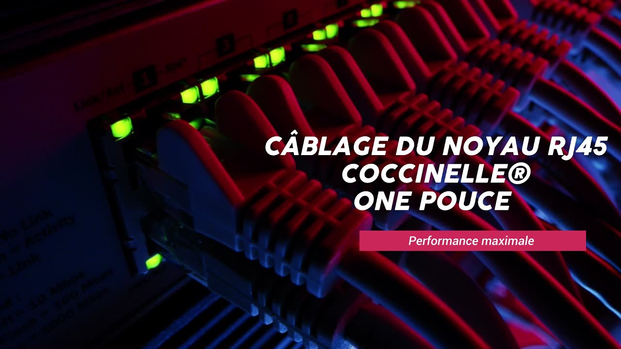 Câblage du noyau RJ45 Coccinnelle ­® One Pouce