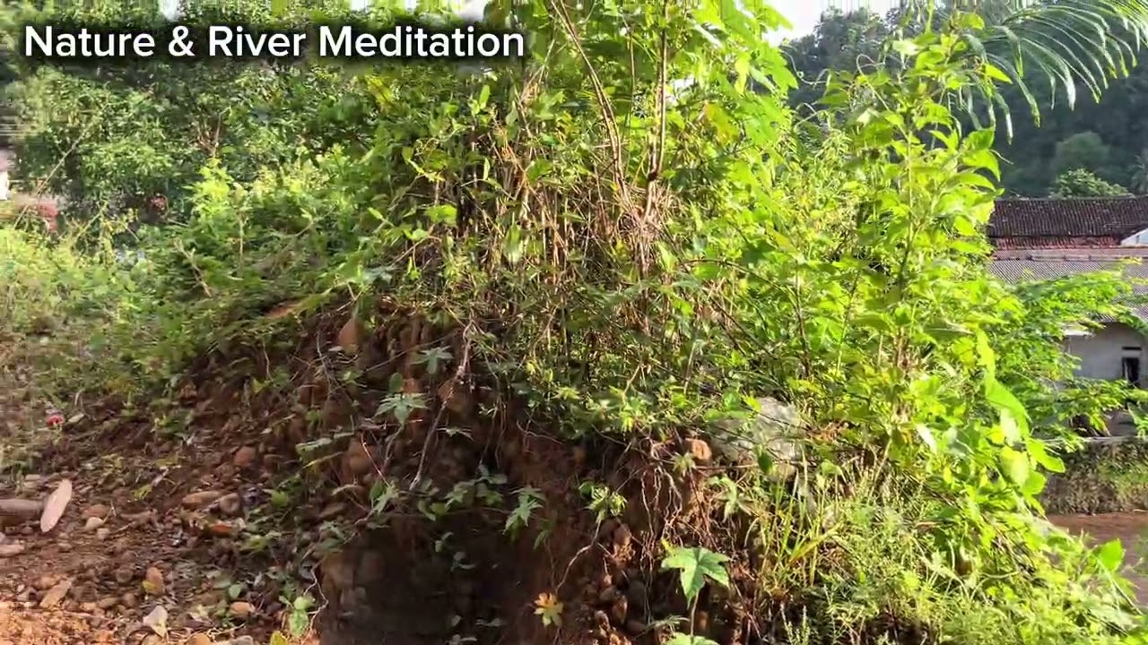 Relaxation of the sound of rural nature brown flowing rivers due to rain on the mountain Enjoy