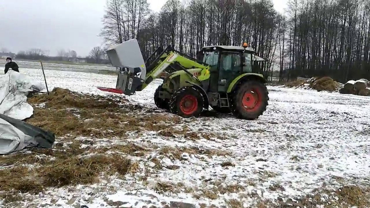 Codzienne obowiązki ( wożenie kiszonki)&Claas Axos 330+ Sonarol&