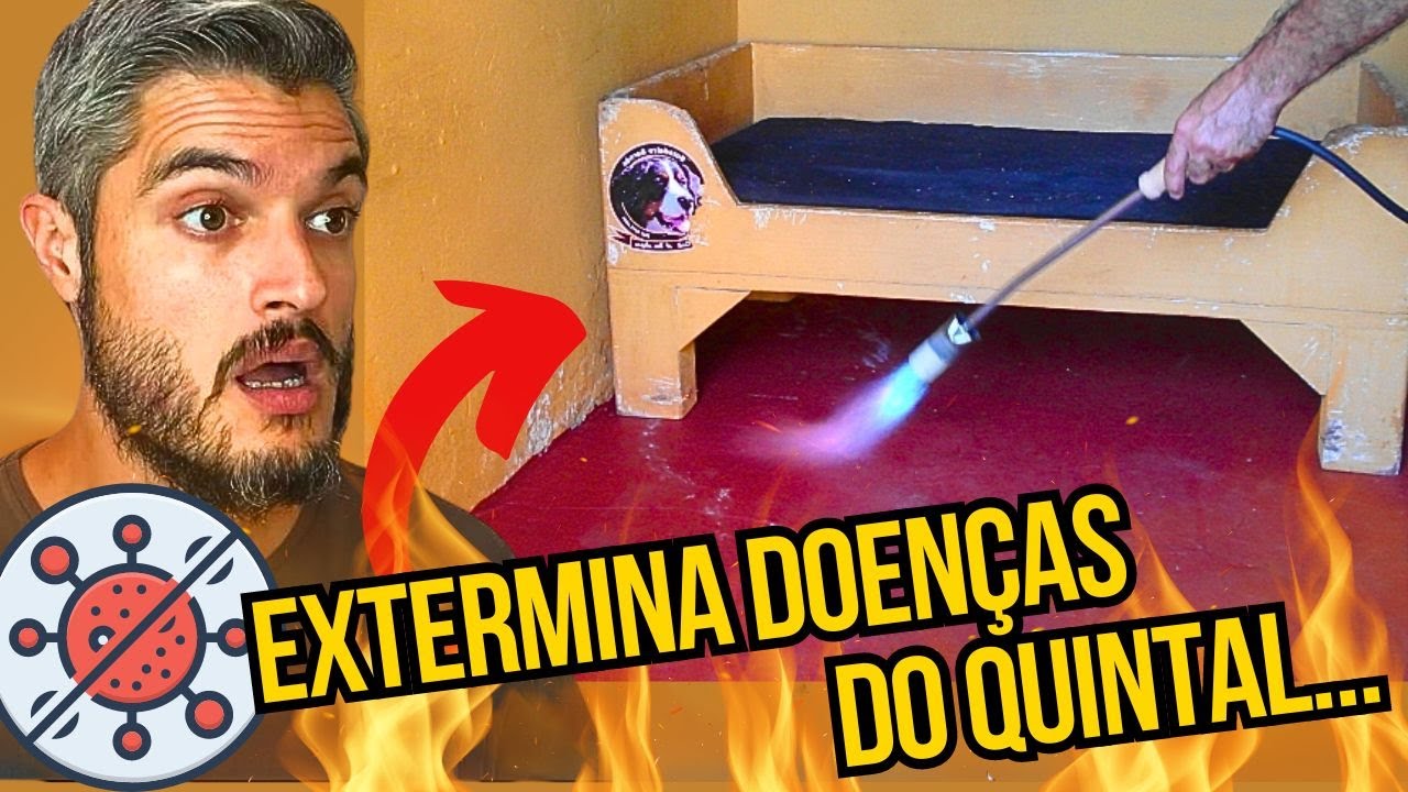 COMO ELIMINAR DOENÇAS DO QUINTAL CURAR CINOMOSE E PARVOVIROSE DO CÃO FILHOTE SEM VACINAS