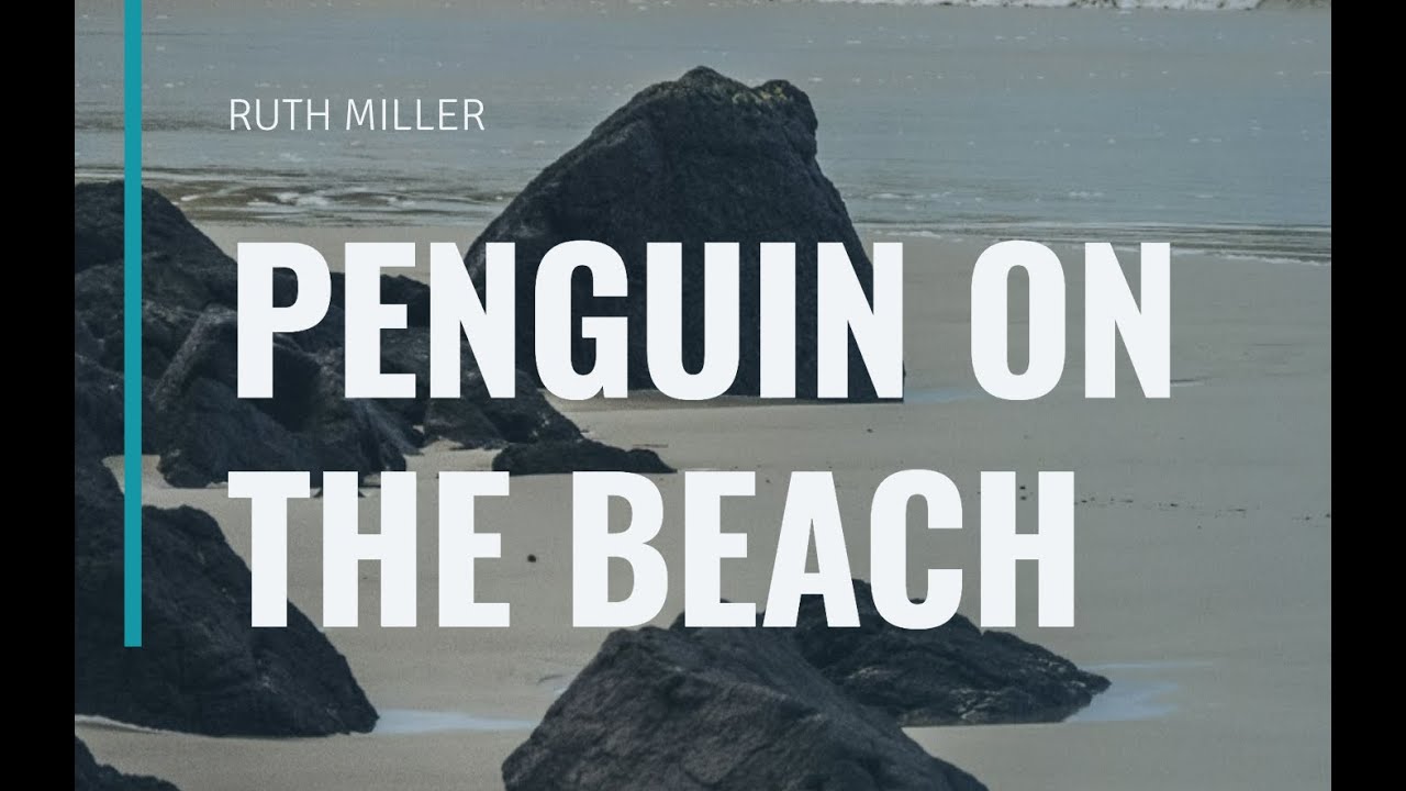 Penguin on the Beach