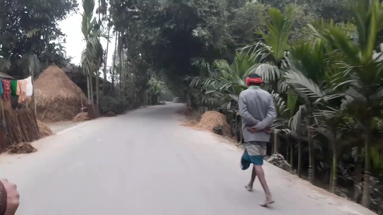 Walking Through a Quiet Countryside Road