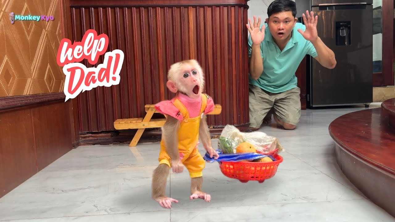 Smart! Kyo helps dad keep food fresh, making dad's eyes widen in surprise!