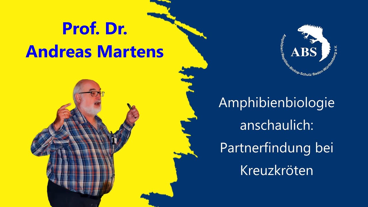 Beitrag5 Andreas Martens Partnerfindung Kreuzkröten