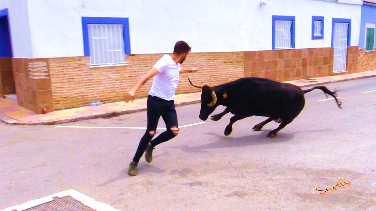 2022 CULLERA 05 ◾ Ganadería la Paloma