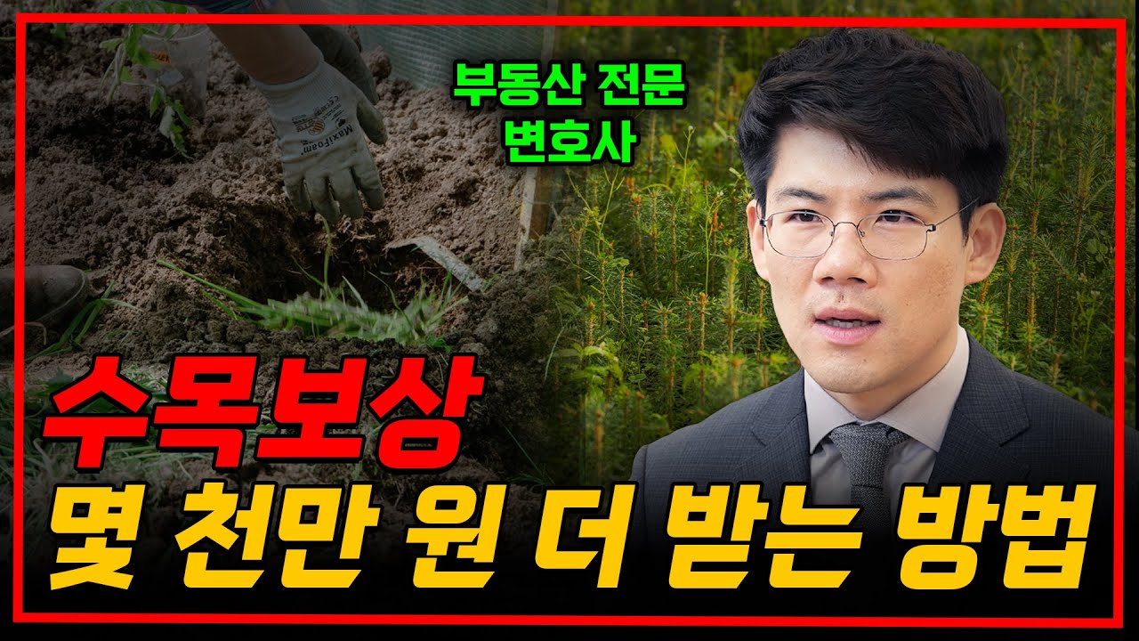 수목보상 더 많이 받는 방법? '이것'만 잘 알고 계시면 됩니다 | 부동산전문변호사 김민중