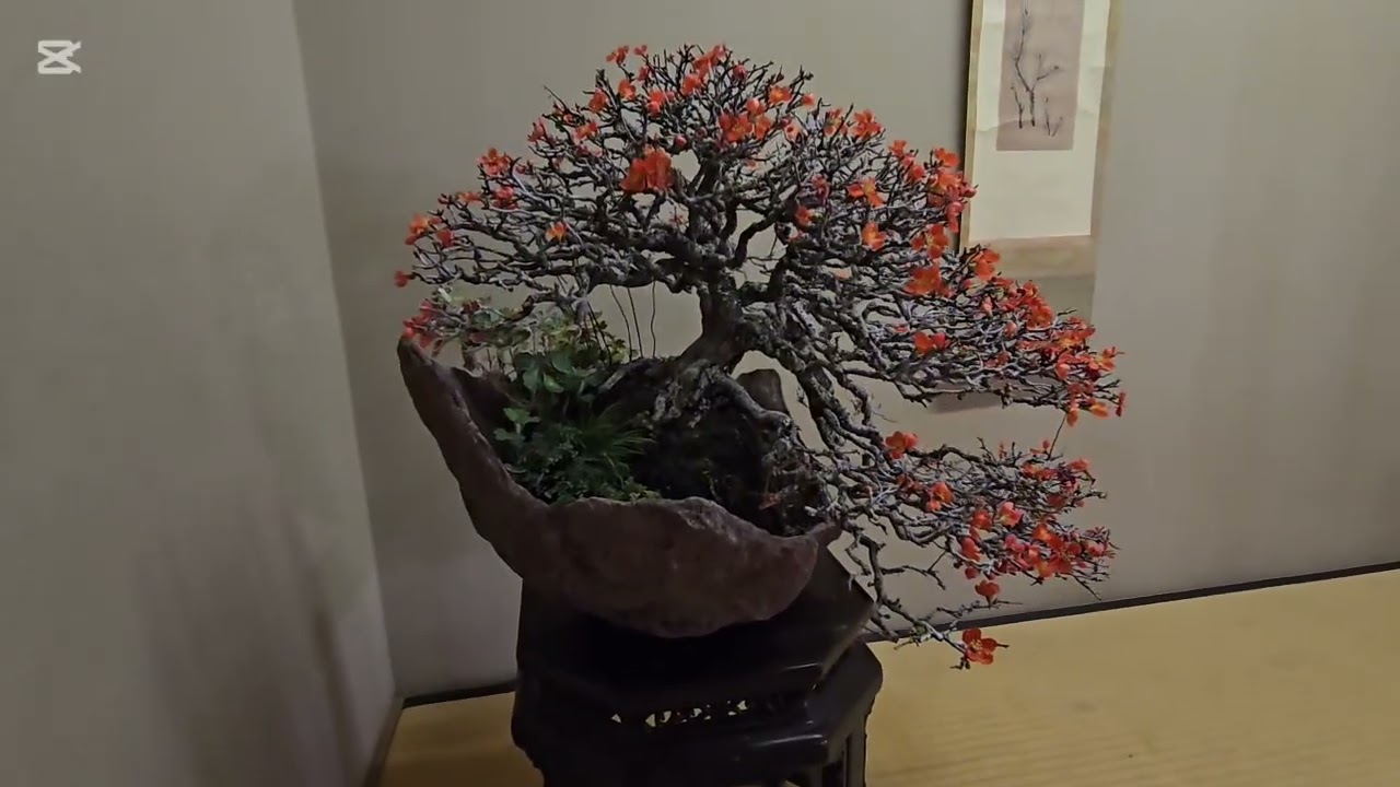 Dia 7. Shunka-en y palacio imperial