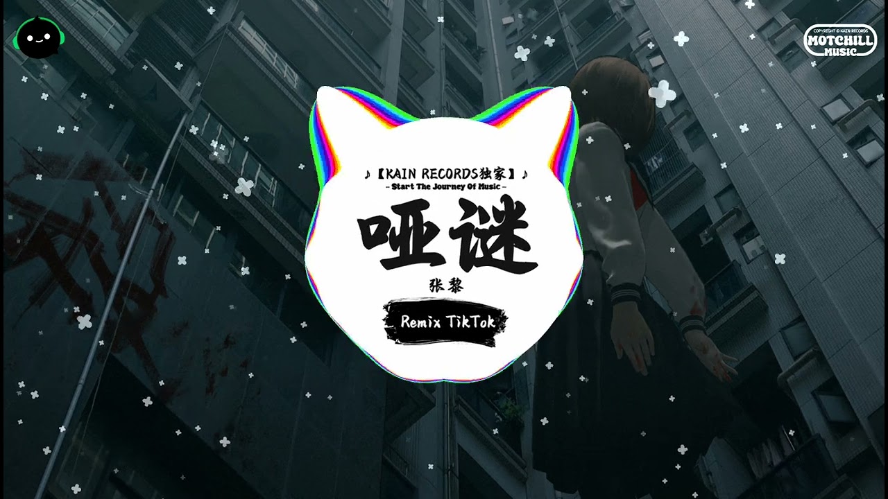哑谜 (抖音DJ版) - 张黎「你眼神轻微在闪烁，怪我没有察觉。」♪ || 抖音热歌版BGM | Douyin | TikTok ♪