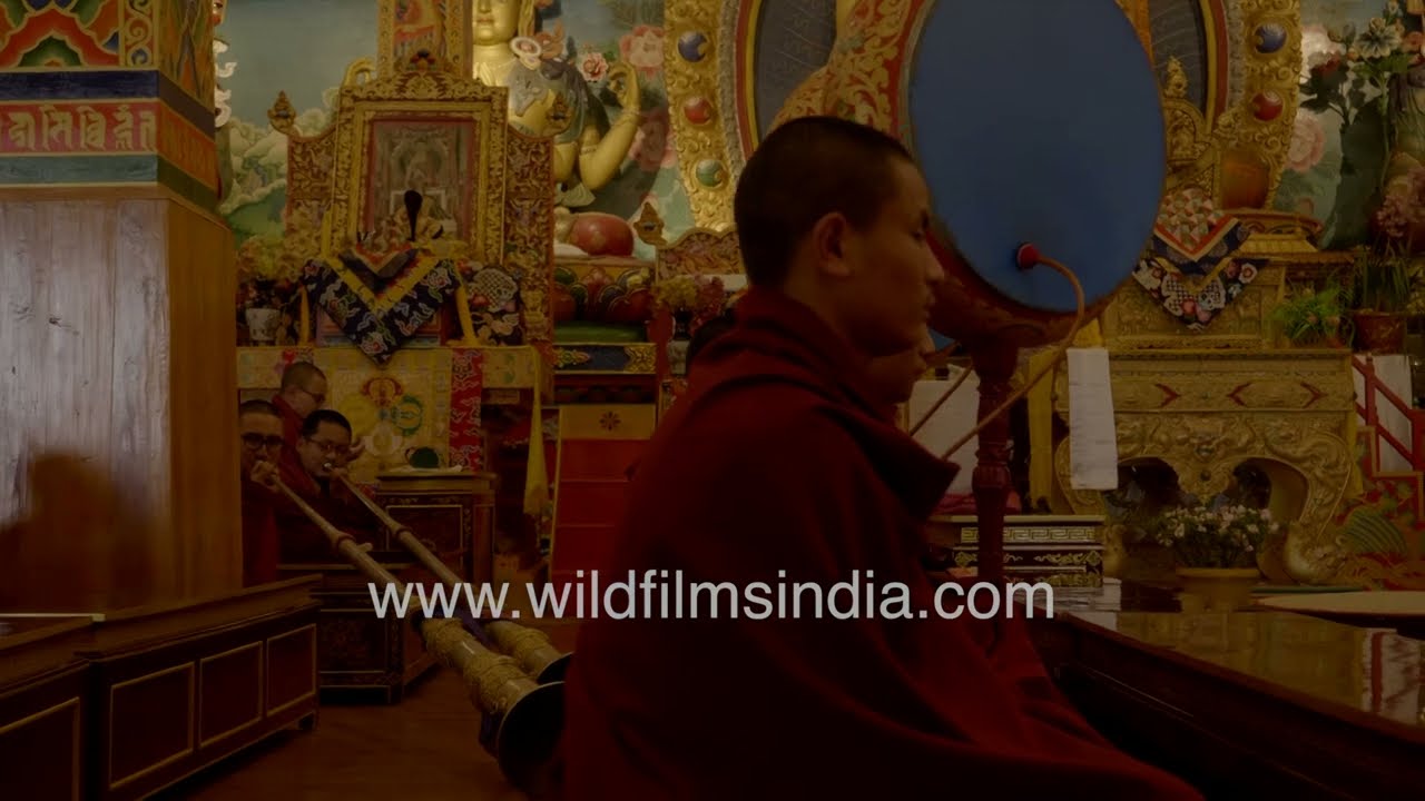 Monks chant in rows inside Dali Monastery’s  Darjeeling, ornate prayer hall