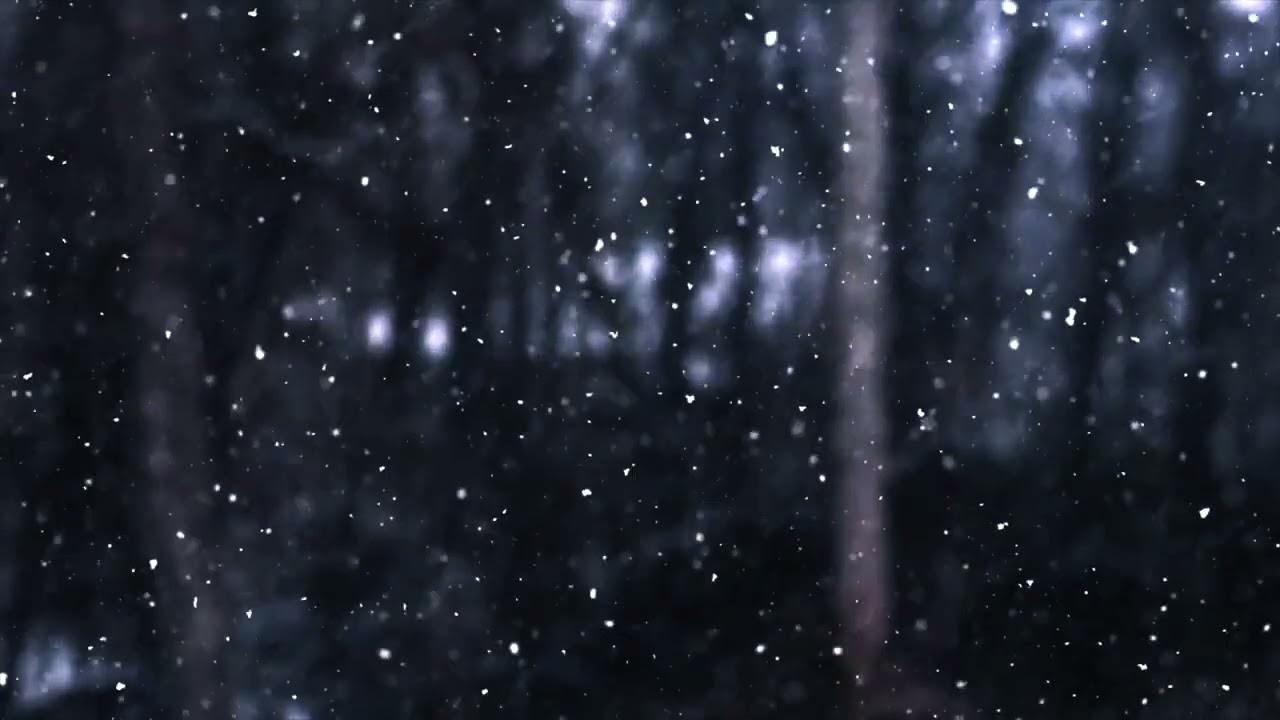Snowfall #winter #1hour