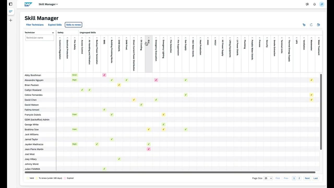 Introduction to SAP FSM Skill Manager extension