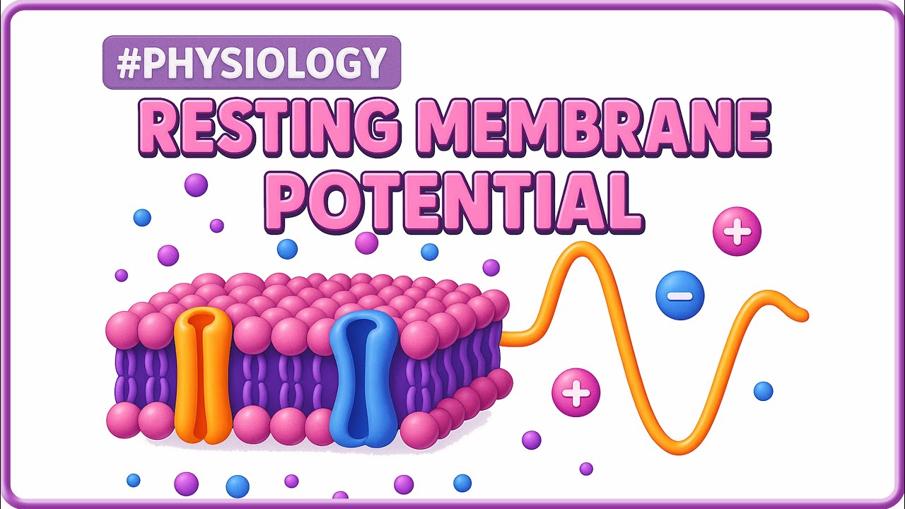 6. Resting Membrane Potential Physiology | NEET PG/FMGE/USMLE | Dr. Sree Teja