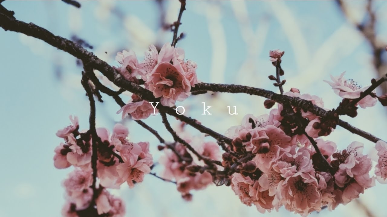 Alina Baraz Type Beat 