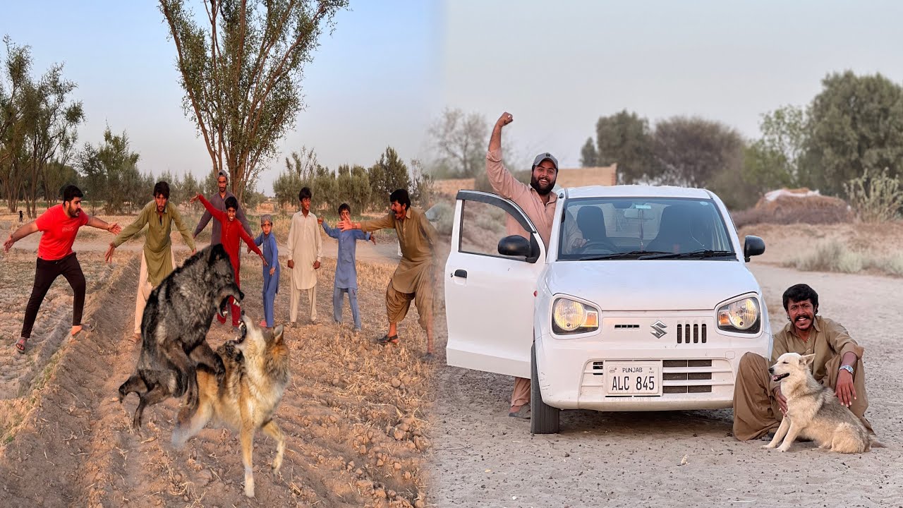 Tolley🐕Won The Big Surprise 🏆🥇| Phar Kay Rakh Dy Gay