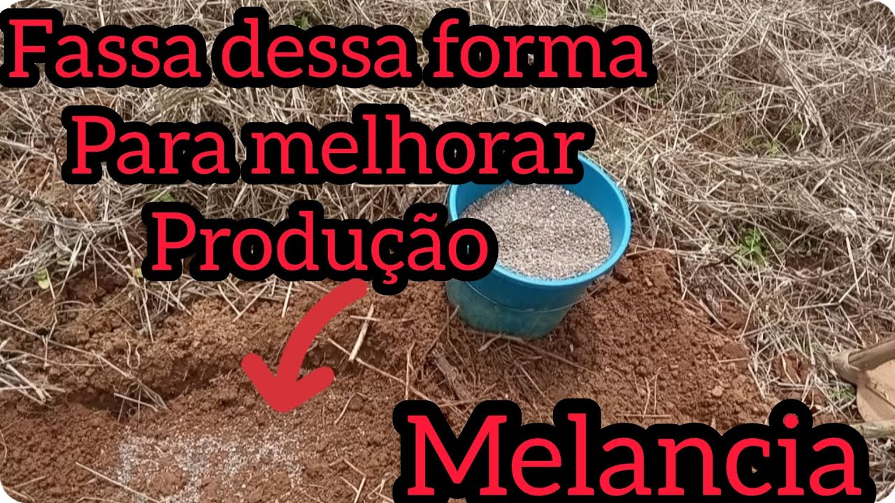 COMO FAZER A ADUBAÇÃO DE COVA, ANTES DE COLOCAR AS SEMENTES PARA PLANTAÇÃO DE MELANCIA 🍉 parte/1