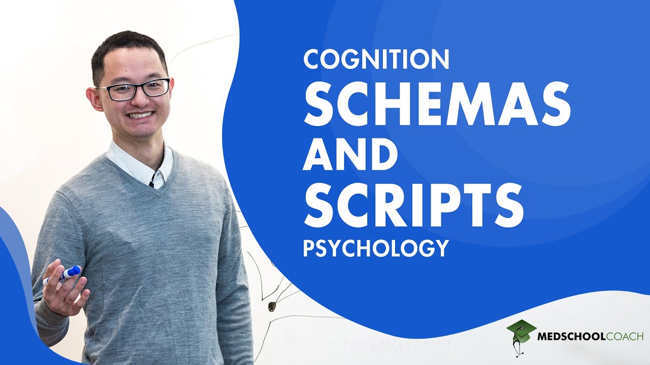 Schemas and Scripts for Cognition
