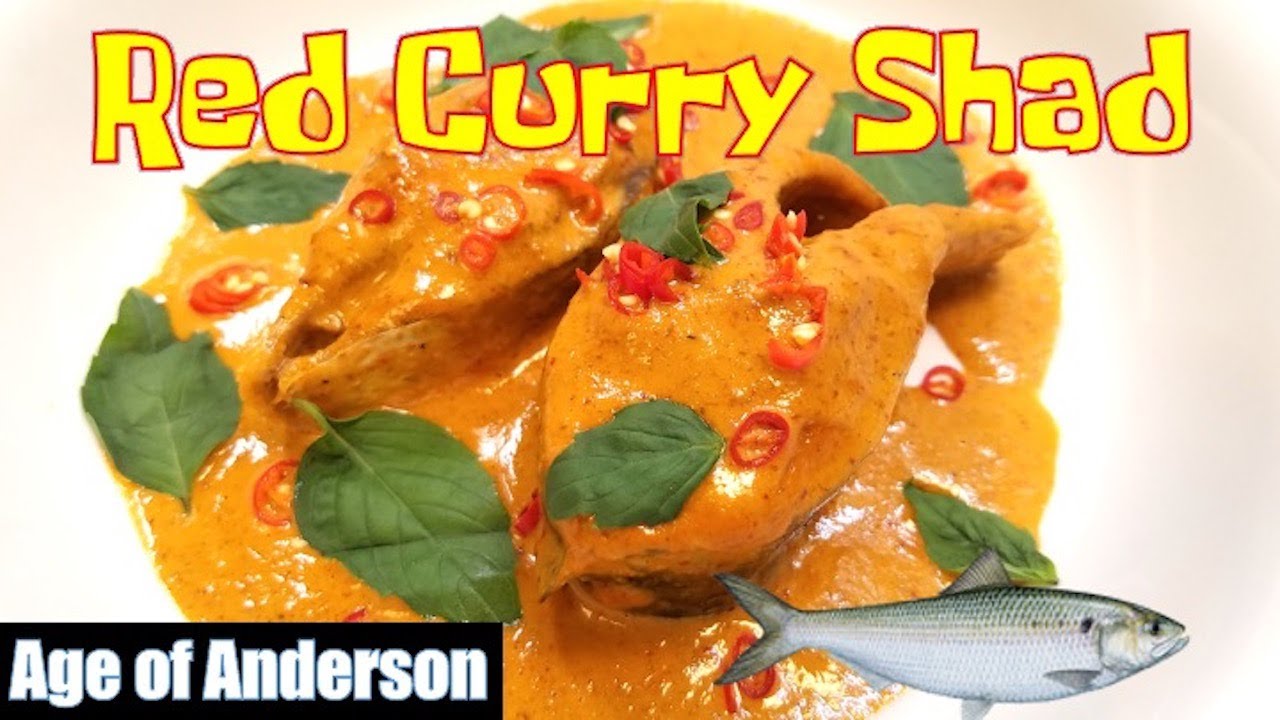 Semi Boneless Shad Curry