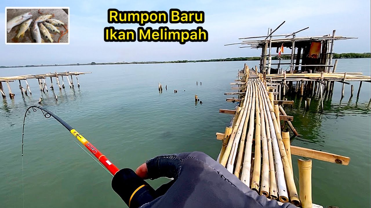 MANTAPPP…! Rumpon Baru Tapi Sepi Pemancing, Dasaran atau Kambangan Ok Semua, Spot Mancing Irigasi