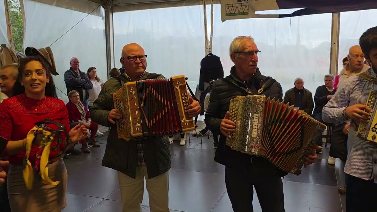 🍀Música Danças Animação em Ponte da Barca 🍀