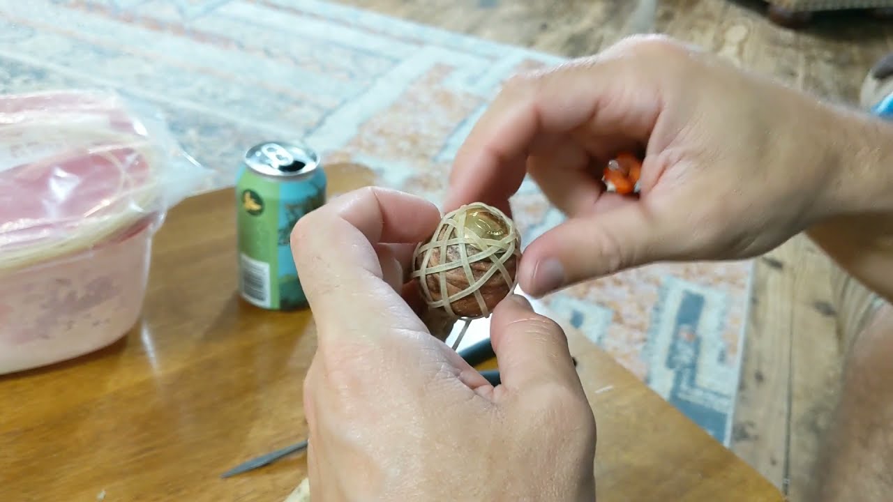 Heel Knot Foundation of O1U1